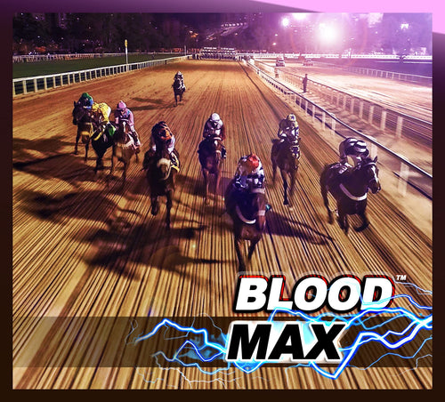 Blood Max™ - Performance Red Blood Cell Health Builder for Horses - 100% Absorbable Iron, Copper, Zinc & B Complex Vitamins