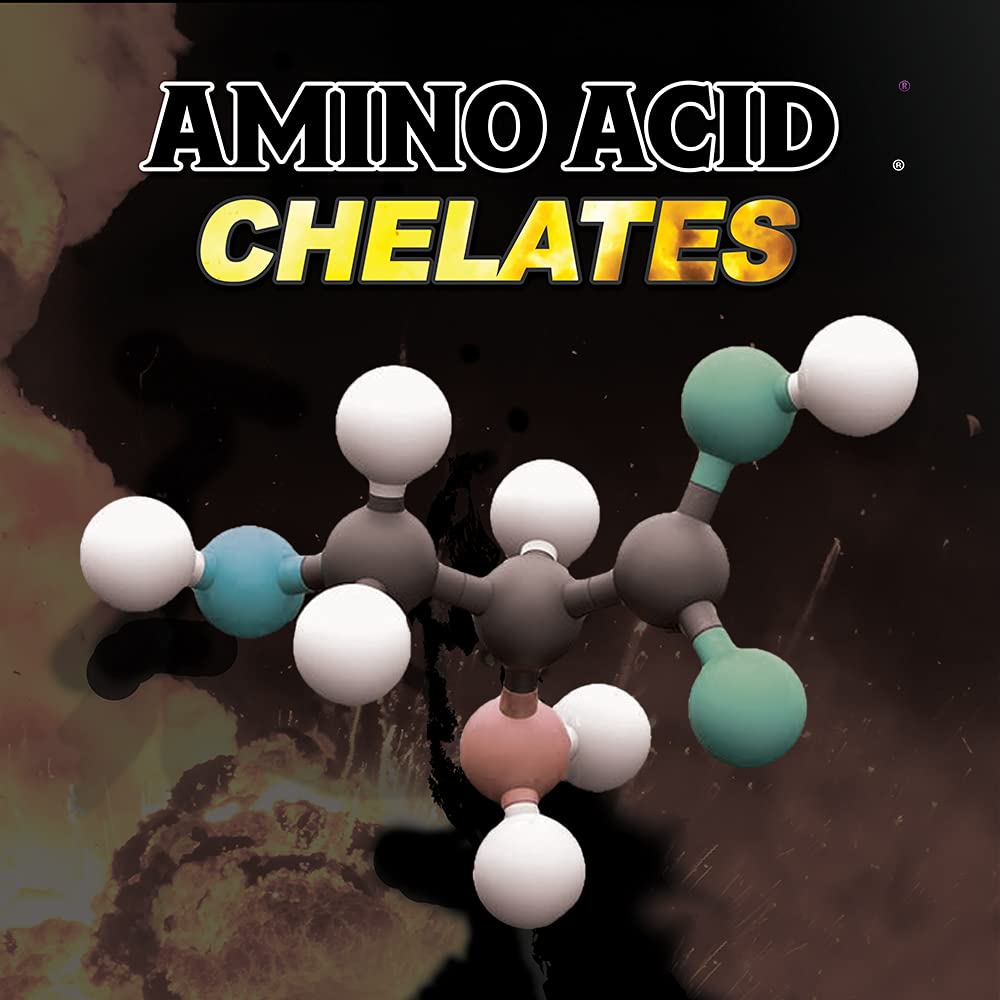 Solid Fuel® - Performance Horse Supplement - Vitamins, Minerals & Amino Acids for Adrenal Support & Endurance