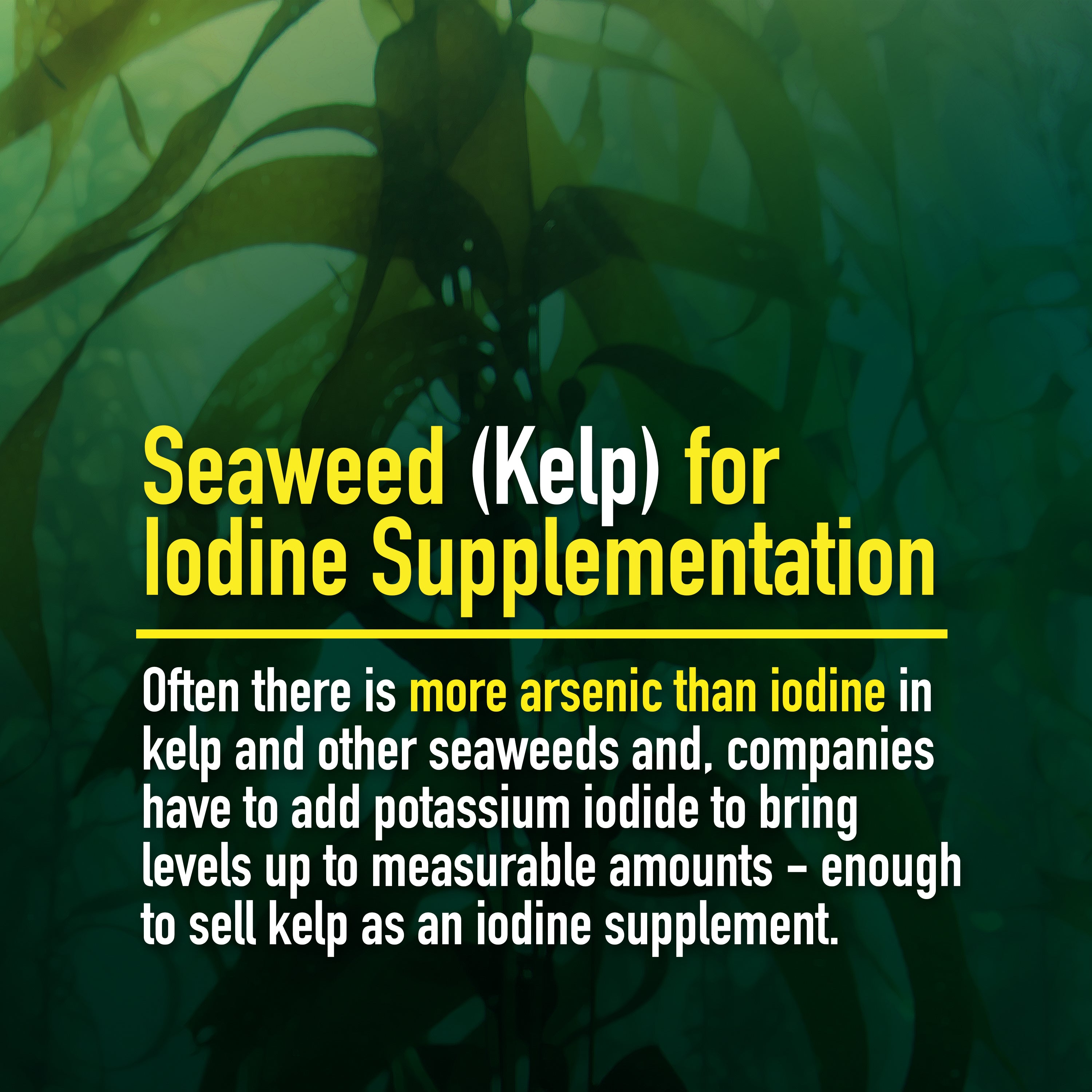 Organic Iodine - Nutritional Supplement for Horses, Animals - w/ 18 Amino Acids