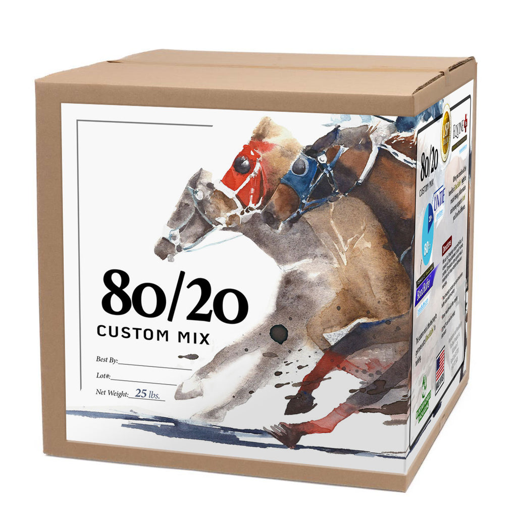 80/20 Formula #2- Blood Oxygen, Blood Gas Transfer & Muscle Support (without Bicarb)