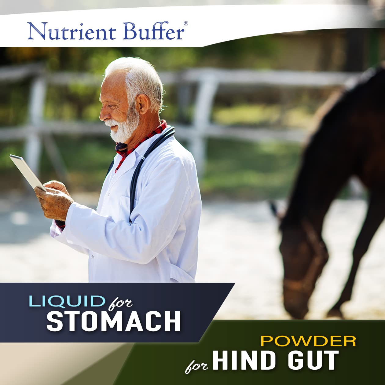 Nutrient Buffer® HG - Equine Hind Gut Lower Gastric Digestive Support Formula for Horses