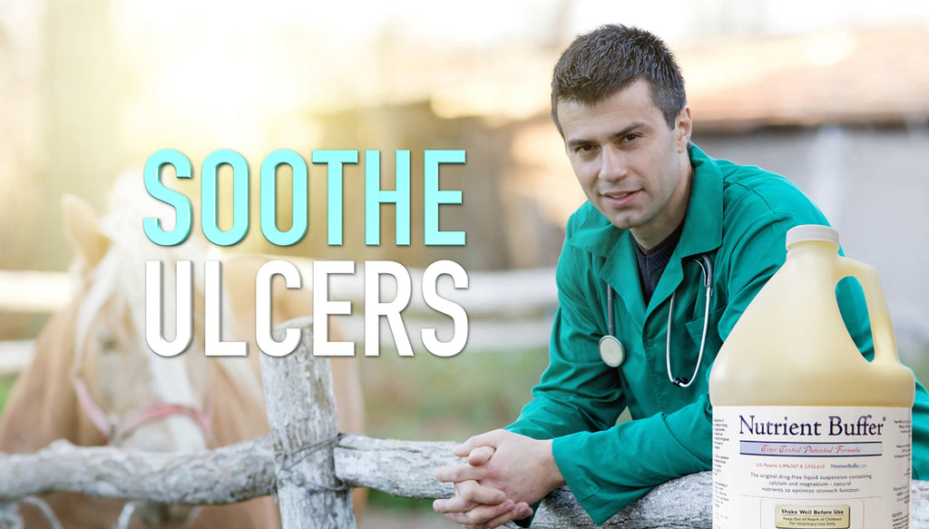 Nutrient Buffer® (1 Gallon) Ulcer & Acid Relief, Digestive Aid, Upper Gastric Support, Colic Remedy