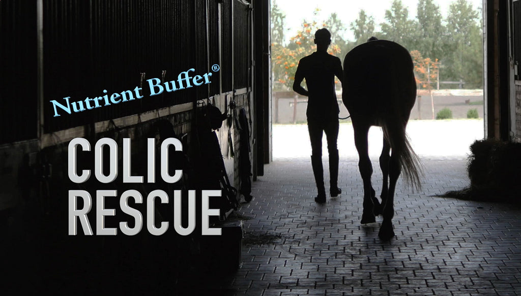 Nutrient Buffer® (1 Gallon) Ulcer & Acid Relief, Digestive Aid, Upper Gastric Support, Colic Remedy