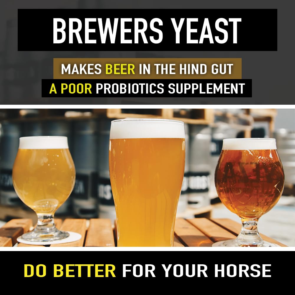 Micro-Encapsulated Probiotics for Horses - Premium Equine Digestive Health Supplement