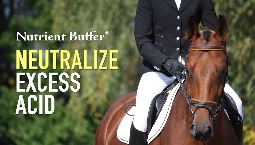 Nutrient Buffer® (1 Gallon) Ulcer & Acid Relief, Digestive Aid, Upper Gastric Support, Colic Remedy