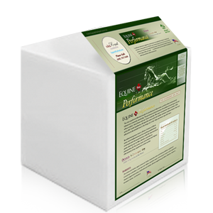 Equine Plus™ Performance
