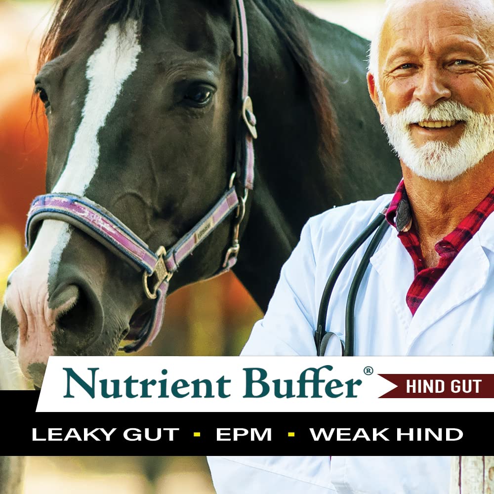 Nutrient Buffer® HG - Equine Hind Gut Lower Gastric Digestive Support Formula for Horses