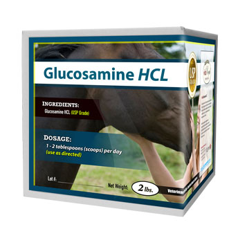Glucosamine HCL | Joint & Cartilage Support for Horses