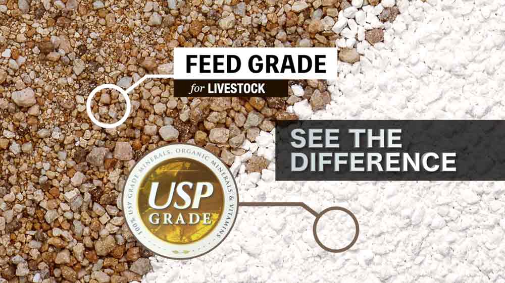 Electrolytes Plus™ for Horses