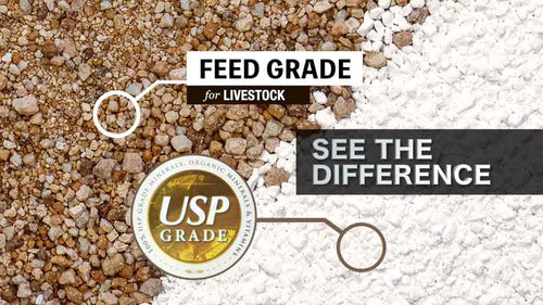 Electrolytes Plus™ for Horses