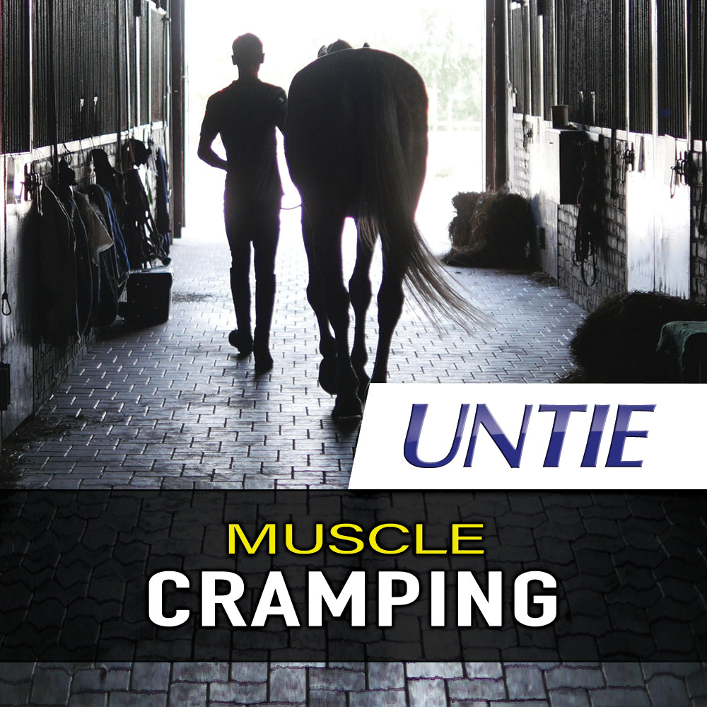Untie® for Horses - Inflammatory, Muscle and Joint Support - 100% Absorbable