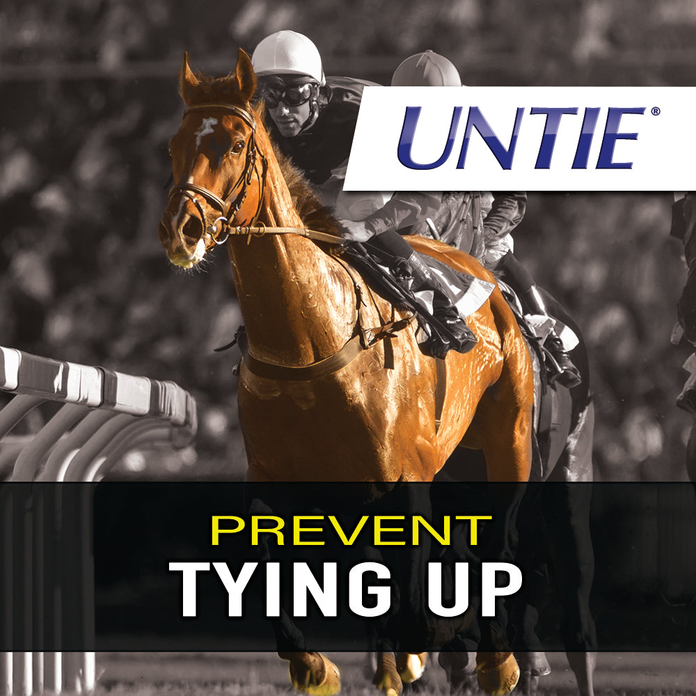 Untie® for Horses - Inflammatory, Muscle and Joint Support - 100% Absorbable