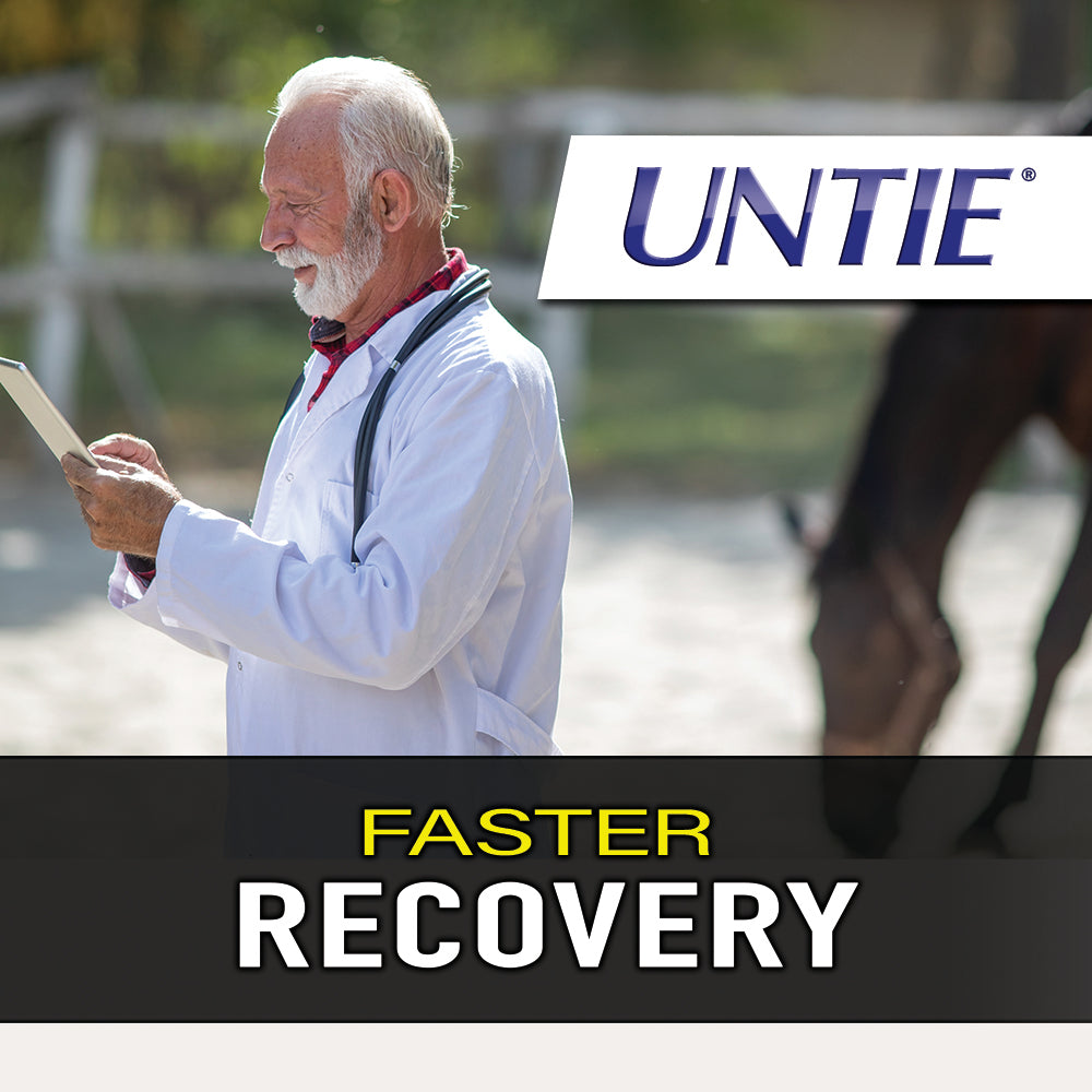 Untie® for Horses - Inflammatory, Muscle and Joint Support - 100% Absorbable
